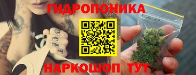 Альфа ПВП Краснознаменск
