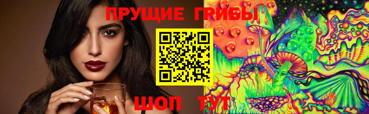 где продают наркотики  Вход с VPN  Кохма  Псилоцибиновые грибы Cubensis 