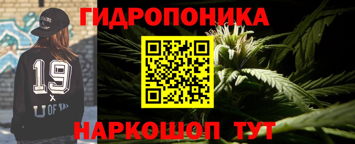 Кохма  Канабис сатива  Вход с VPN  Марихуана Ganja  МАРИХУАНА индика 